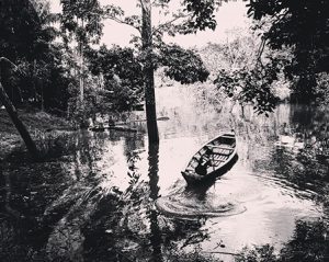 Lee más sobre el artículo El Cerebro Y Las Piernas: Imprescindibles De La Salud