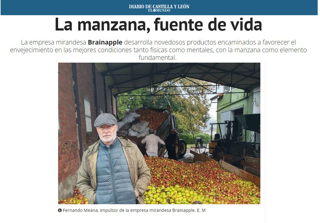 En este momento estás viendo Reportaje sobre Brainapple en El Mundo