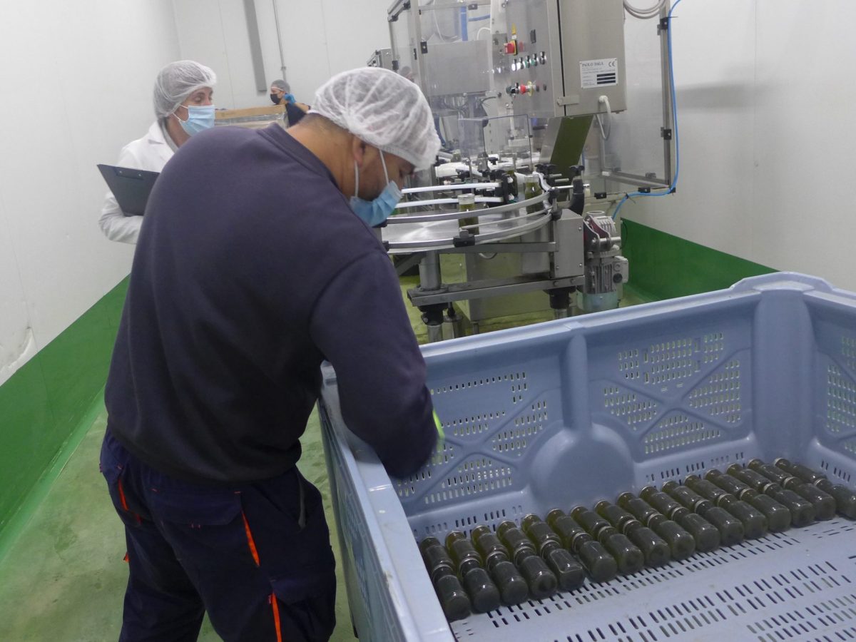 Elaboración zumo ecológico Brainapple Alga