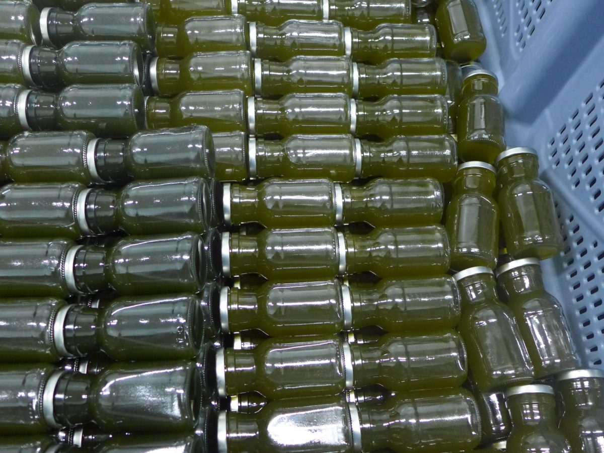 Botellas de zumo ecológico Brainapple Algas